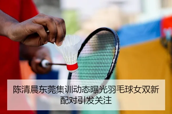 陈清晨东莞集训动态曝光羽毛球女双新配对引发关注
